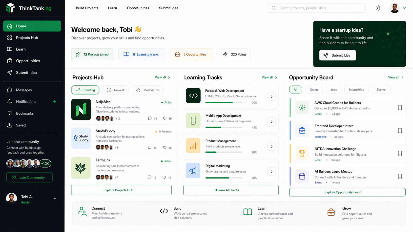 ThinkTank.ng platform mockup